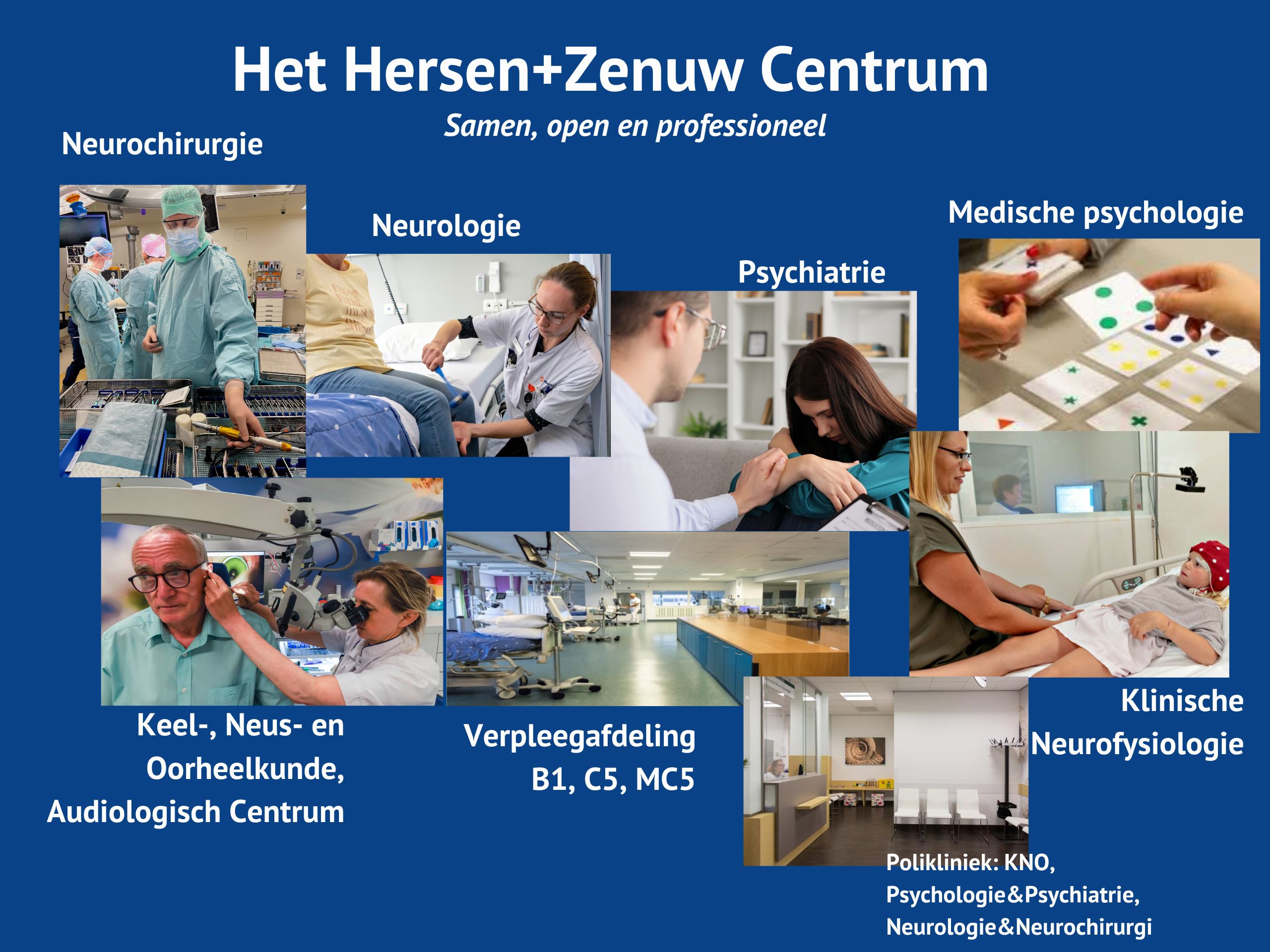 HZC afdeleingen