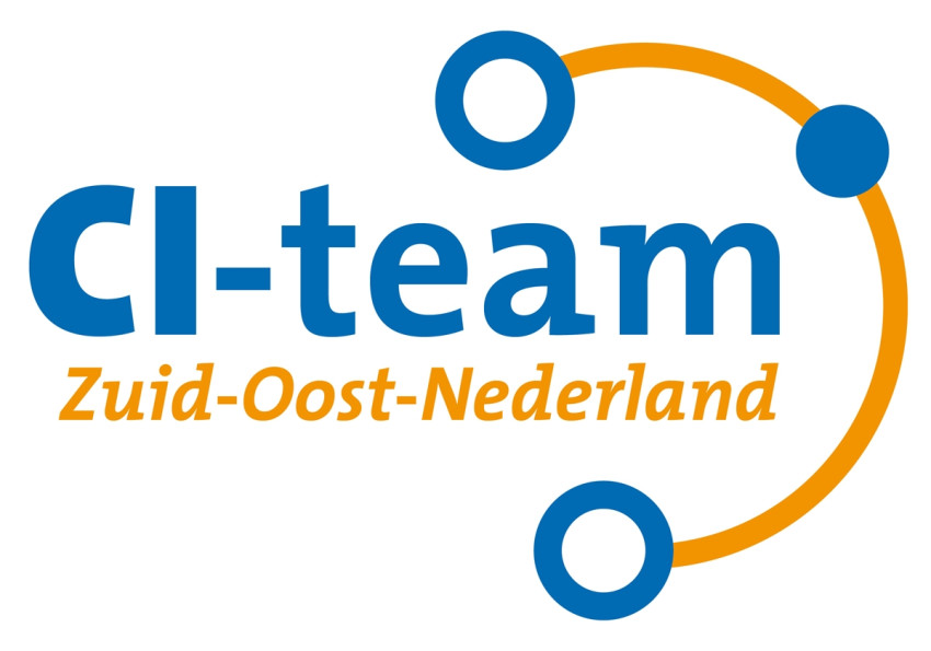 ci team